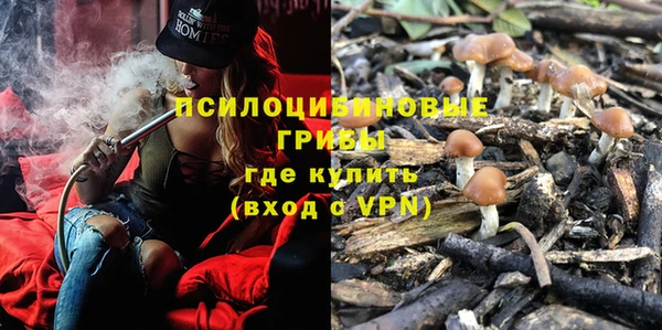 эйфоретик Алексеевка