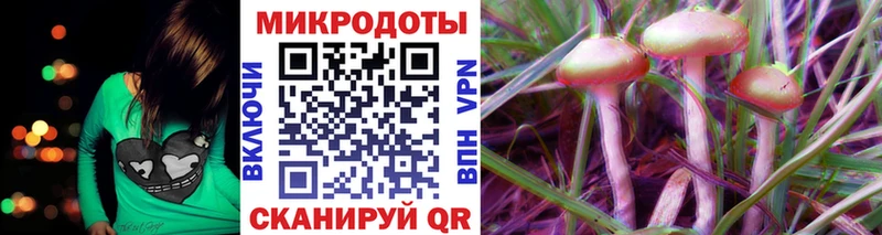 KRAKEN tor  Шиханы  Галлюциногенные грибы Cubensis 
